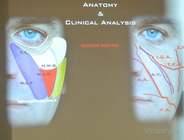 Teosyal_Ecole-De-Chirurgie_vzbeauty1