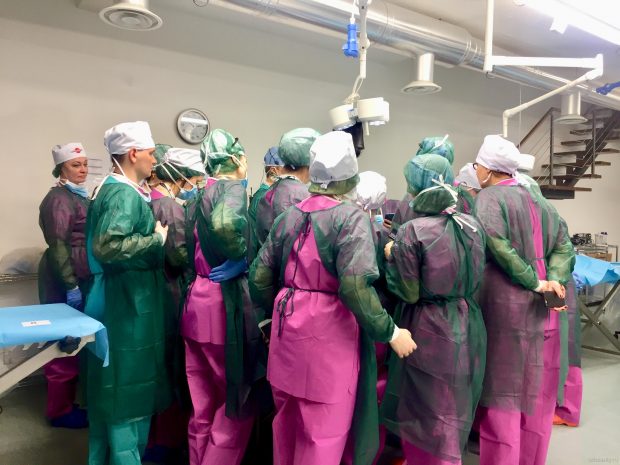 кадавер курс италия